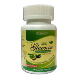 Glucocin (100 Tablets)