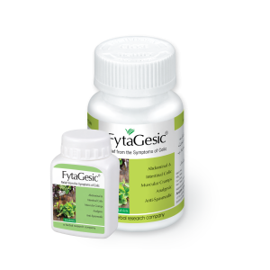 FytaGesic Tablets – Natural Pain Killer, Cuts Phlegm, Purifies Brain, Promotes Menstruation