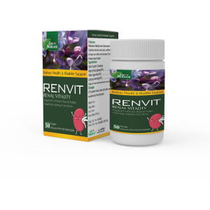 Kidney Tonic and Urinary System Protector